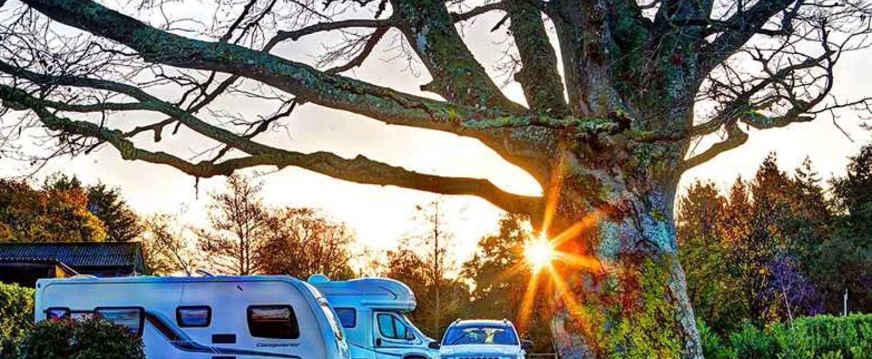 South Lytchett Manor Caravan and Camping Park