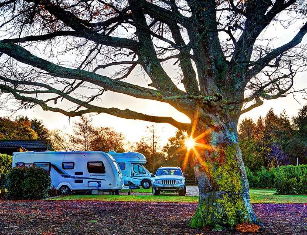 South Lytchett Manor Caravan and Camping Park