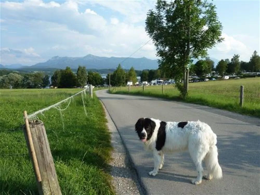 Camping Brugger am Riegsee