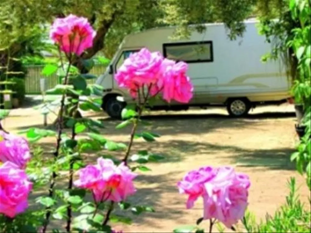 Campeggio Sabbiadoro