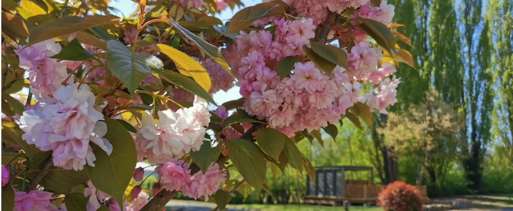 Camping la Vallée de l'Indre