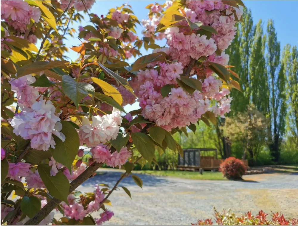 Camping la Vallée de l'Indre