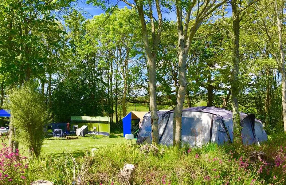 Silver Sands Holiday Park