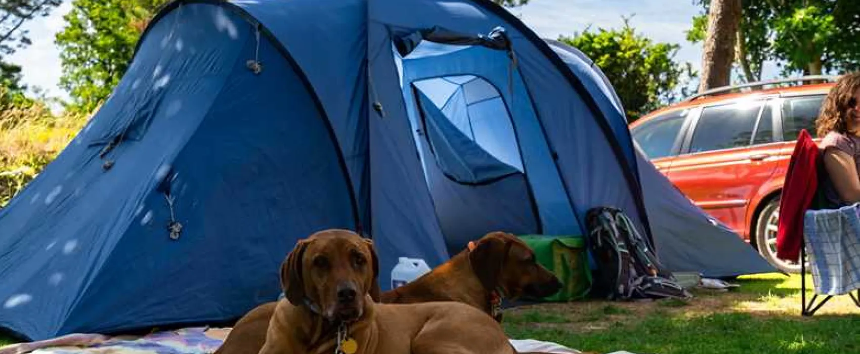 Silver Sands Holiday Park