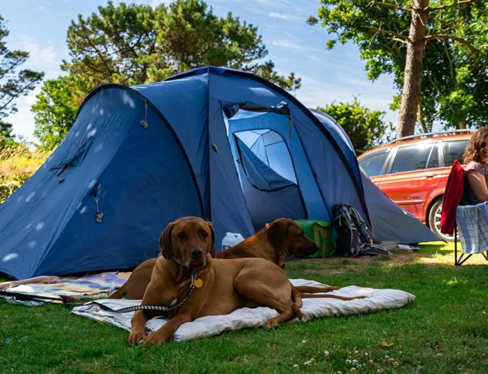 Silver Sands Holiday Park