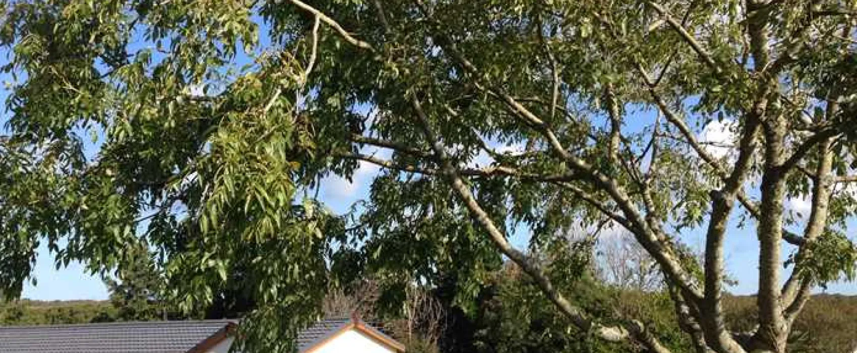 Silver Sands Holiday Park