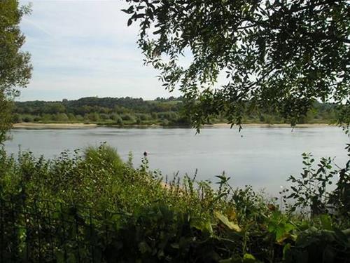 Camping de La Tour photo 3