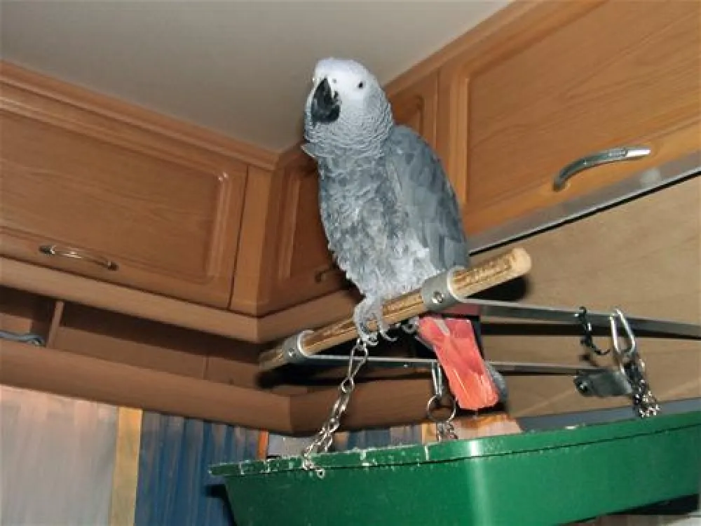 Komfort-Camping Panoramablick