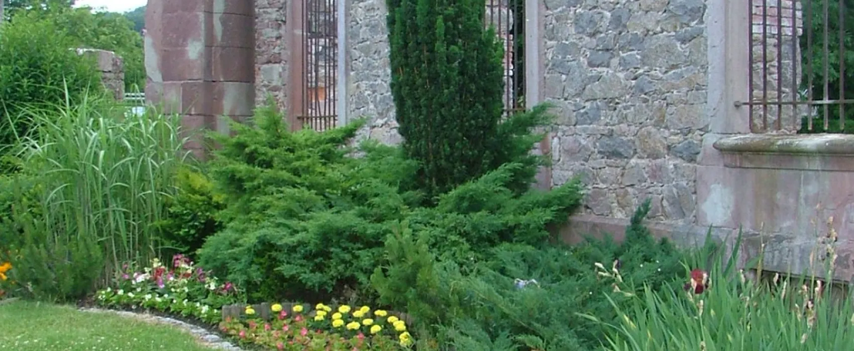 Camping Des Amis De La Nature De Munster  