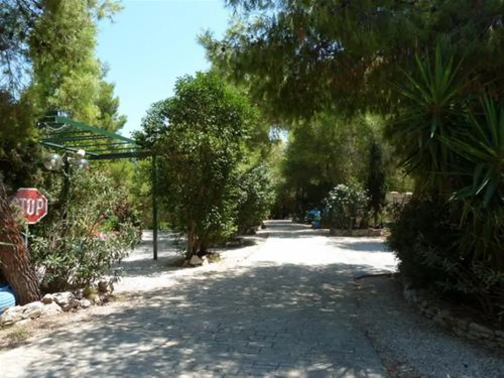 Campsite Nea Kifisia