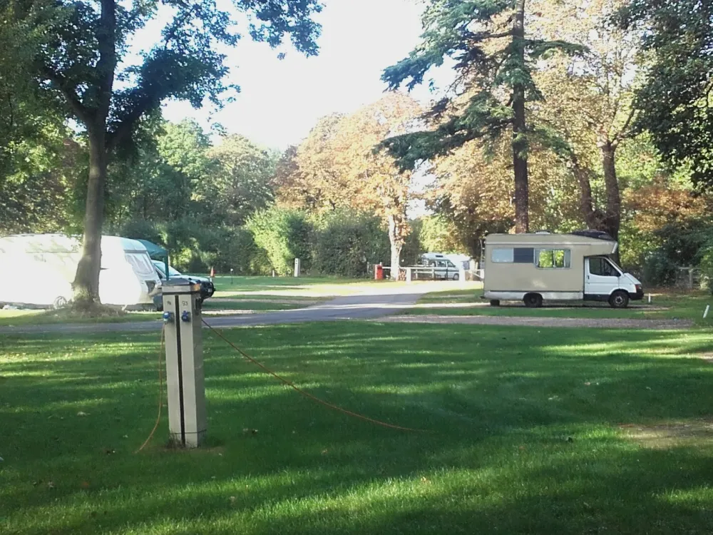 Camping and Caravanning Club Site, Chertsey