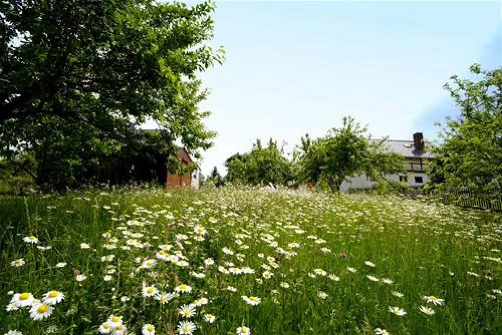 Campingplatz Mannichswalde