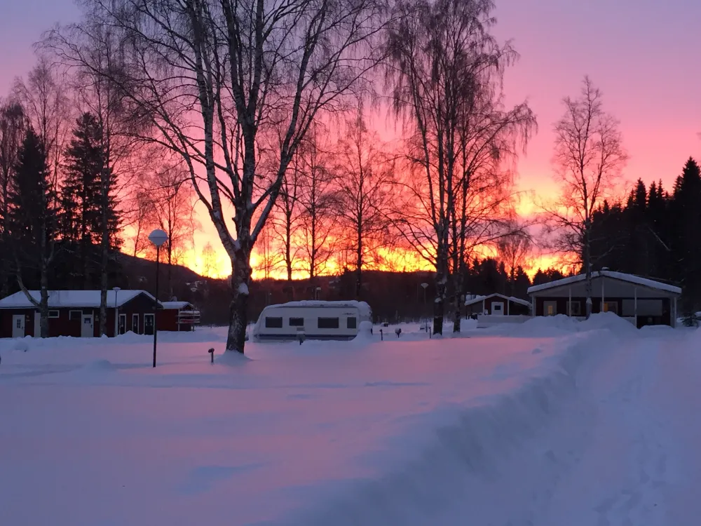 Hammarstrands Camping