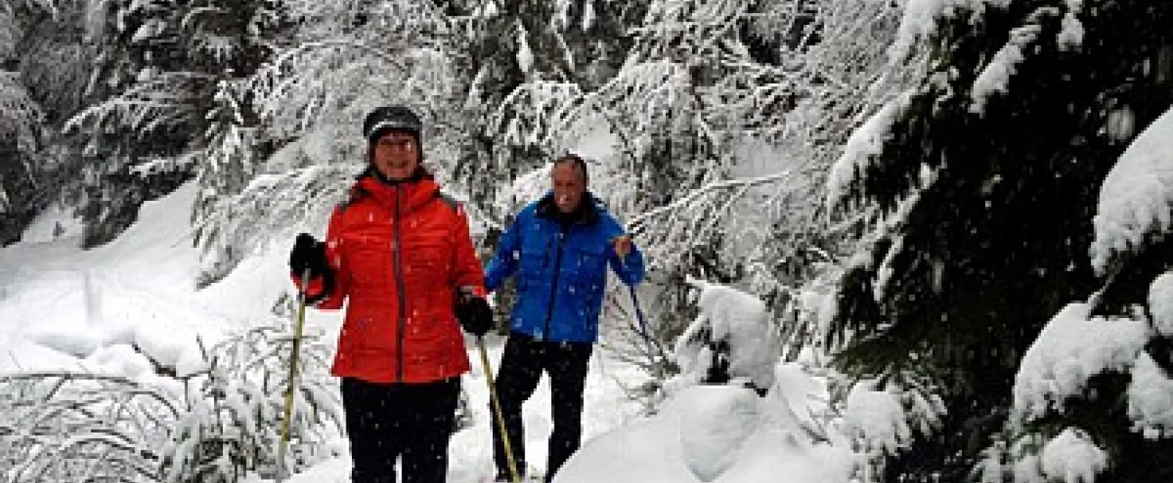 Hammarstrands Camping