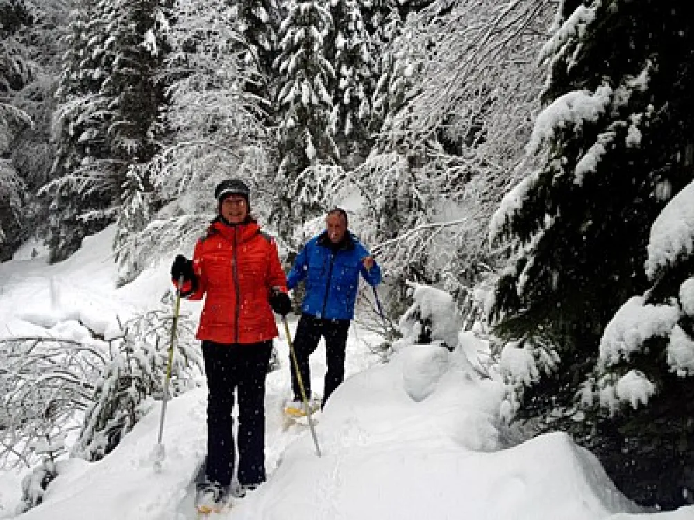 Hammarstrands Camping