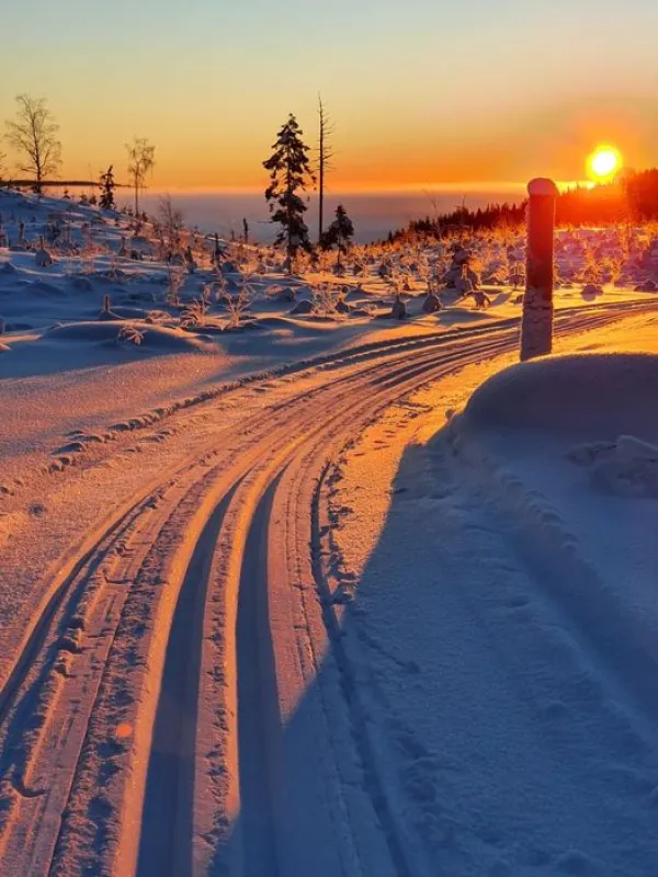 Hammarstrands Camping