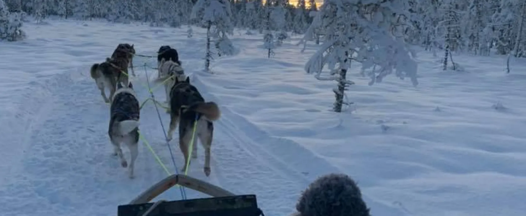 Hammarstrands Camping