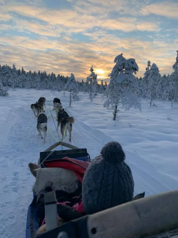 Hammarstrands Camping