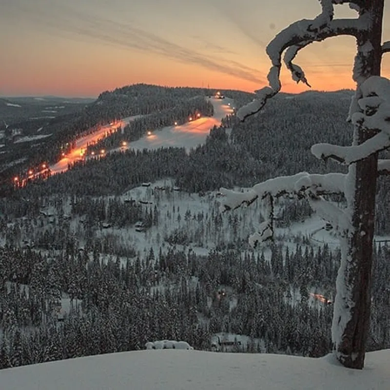 Hammarstrands Camping