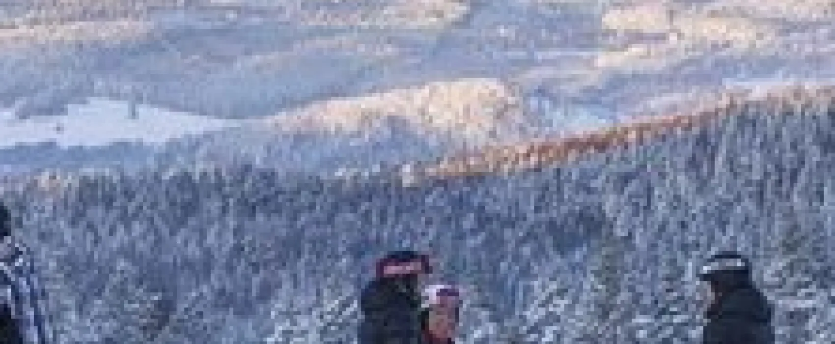 Hammarstrands Camping