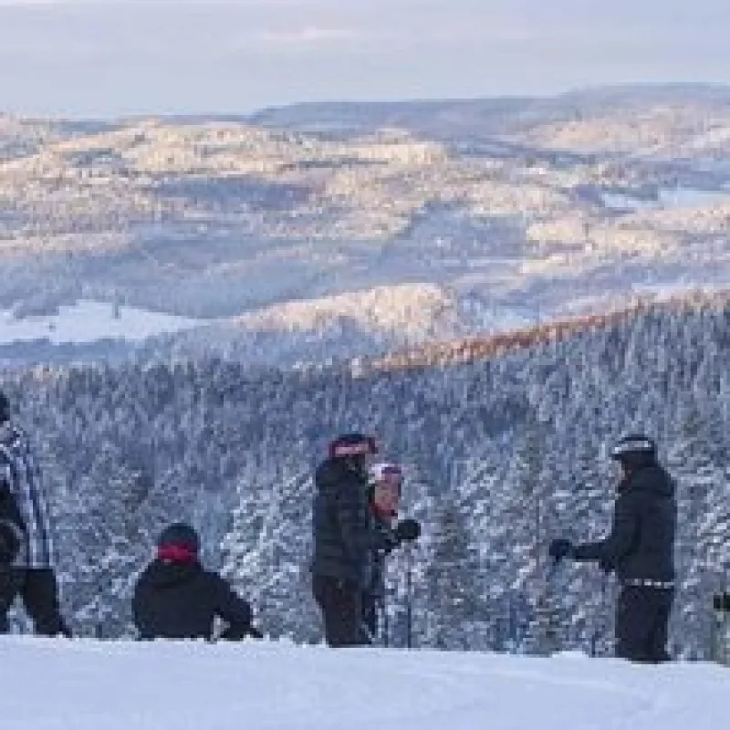 Hammarstrands Camping