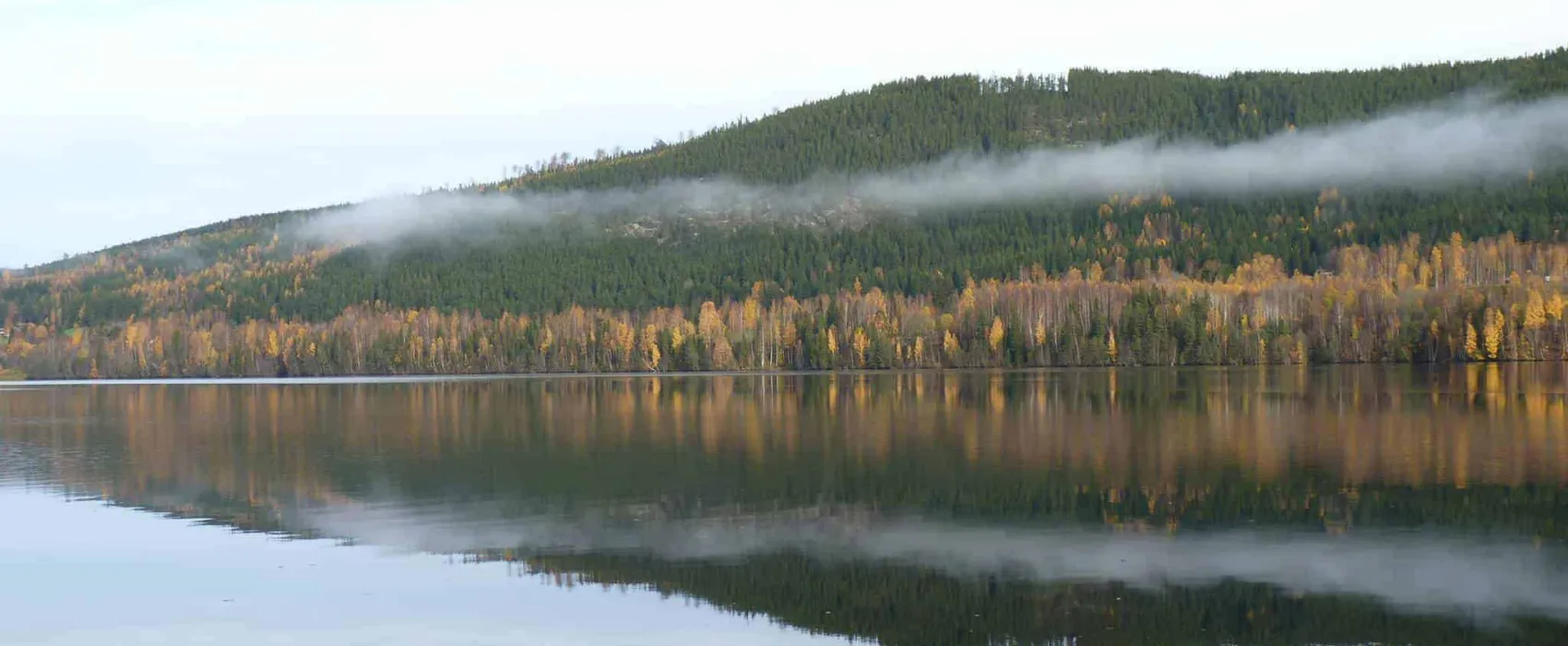 Hammarstrands Camping