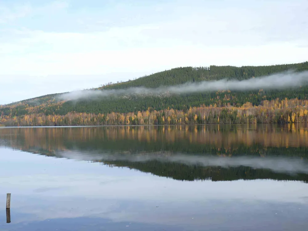 Hammarstrands Camping