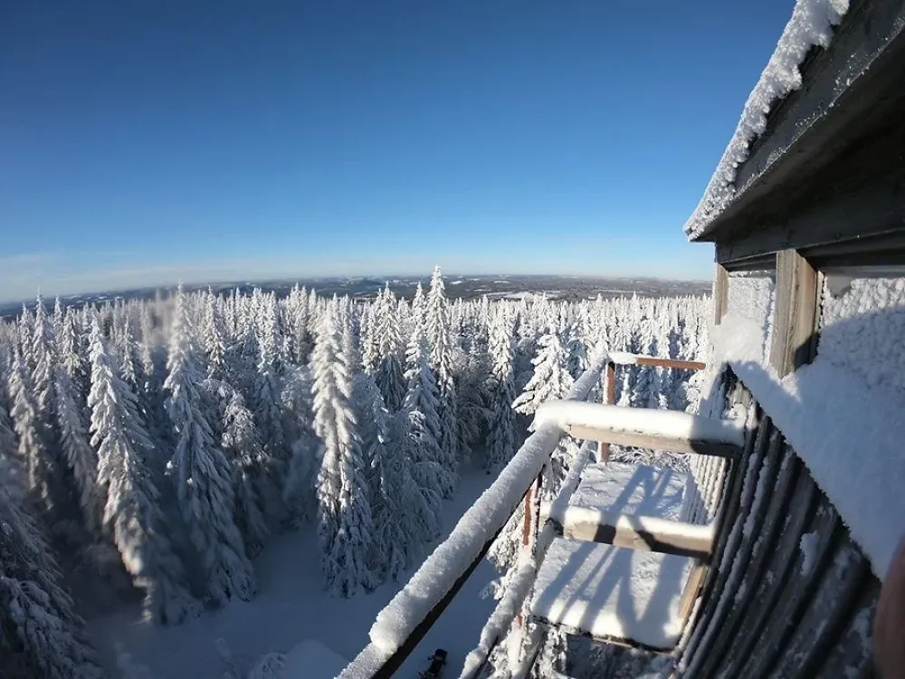 Hammarstrands Camping