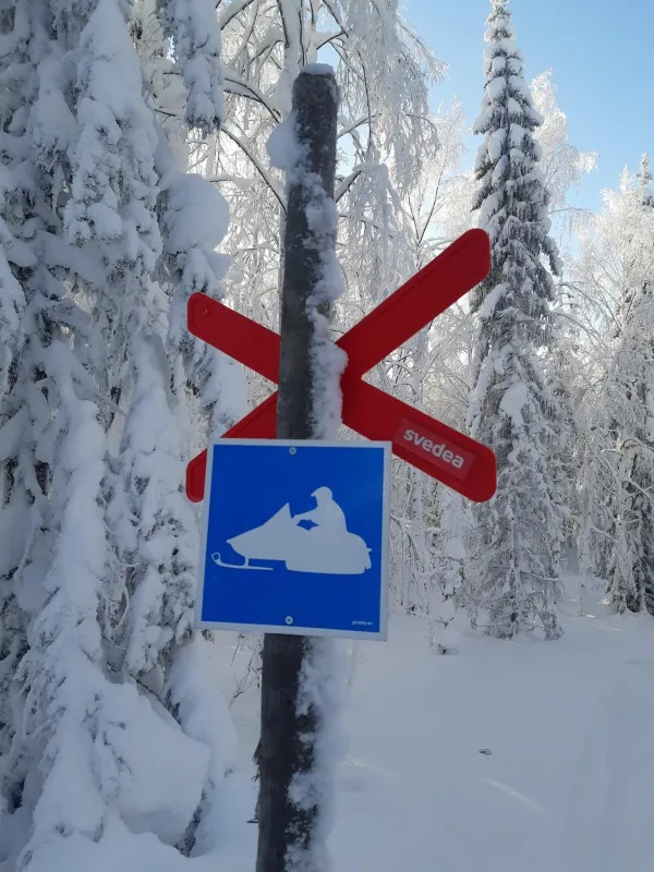 Hammarstrands Camping