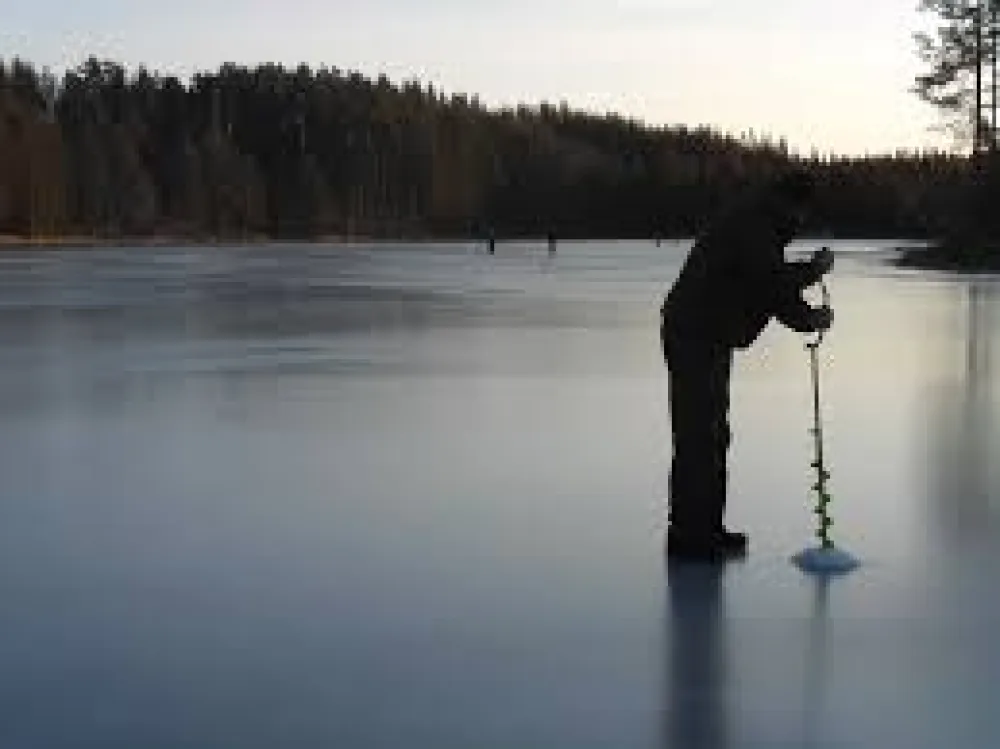 Hammarstrands Camping