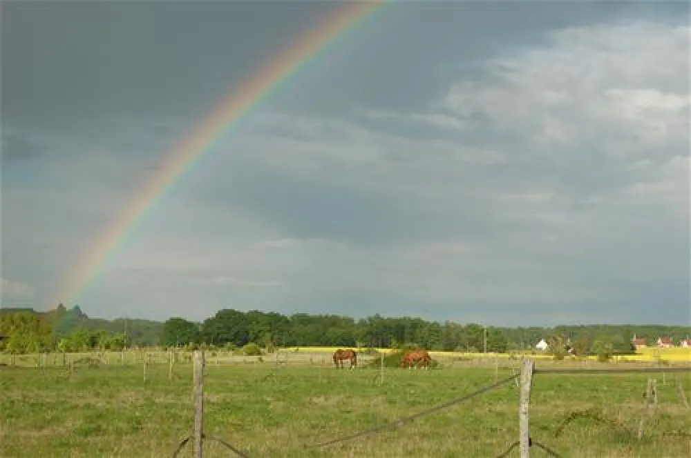 Yelloh! Village Parc du Val de Loire  