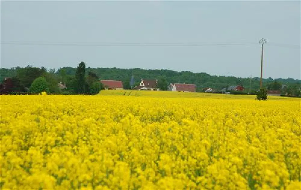 Yelloh! Village Parc du Val de Loire  