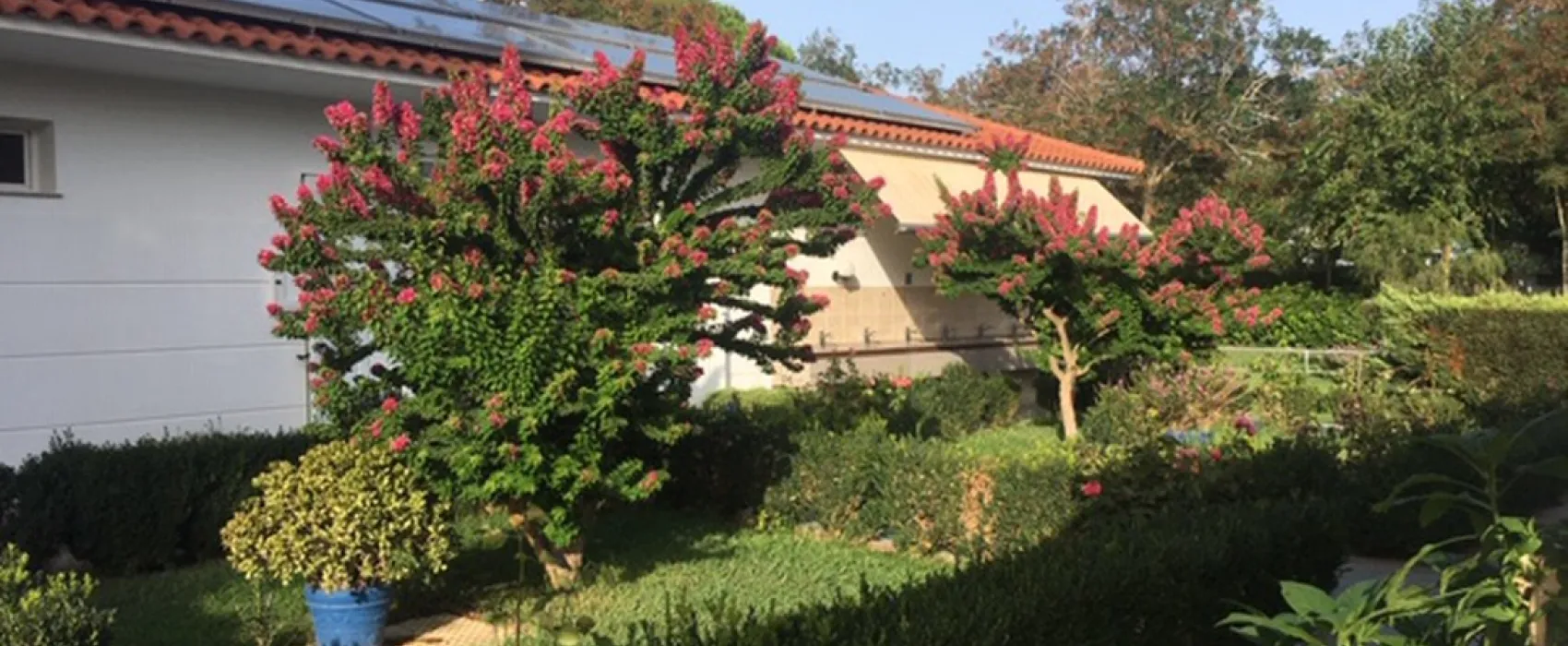 Campsite Ionion Beach