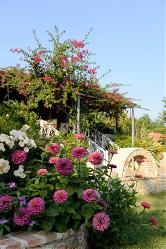 Campsite Ionion Beach