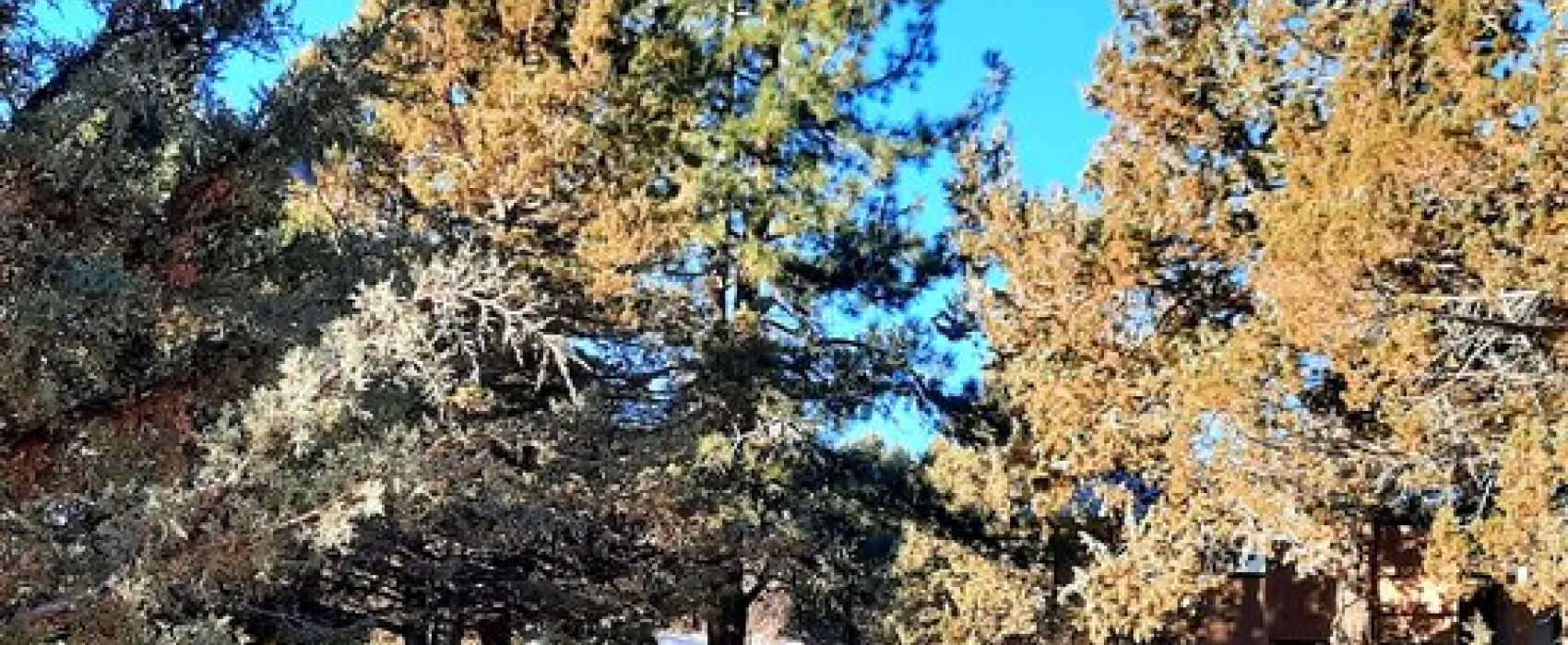 American Eagle RV Park