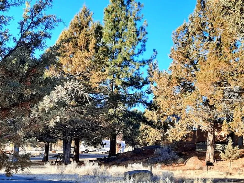 American Eagle RV Park