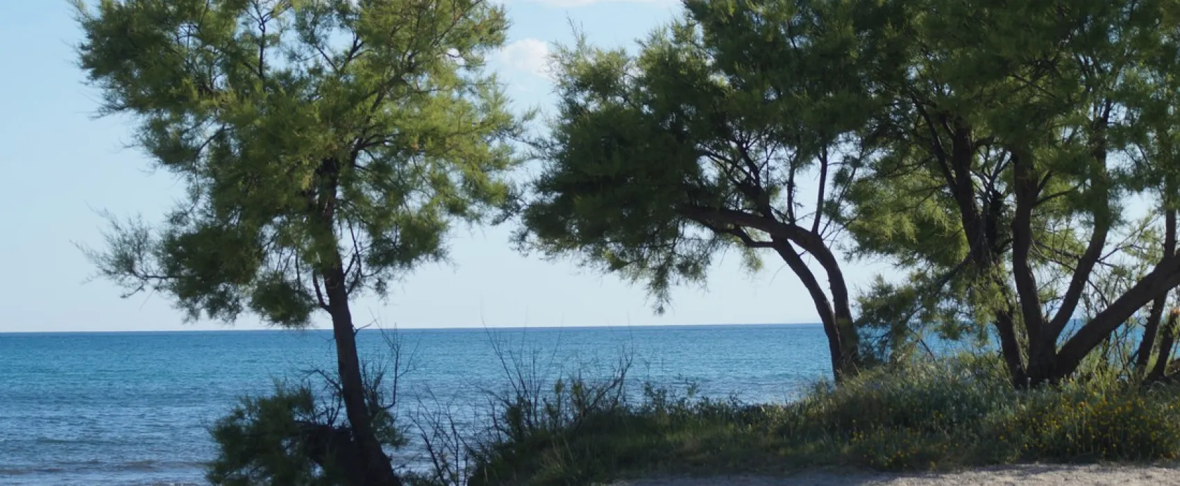 Camping Playa Y Fiesta