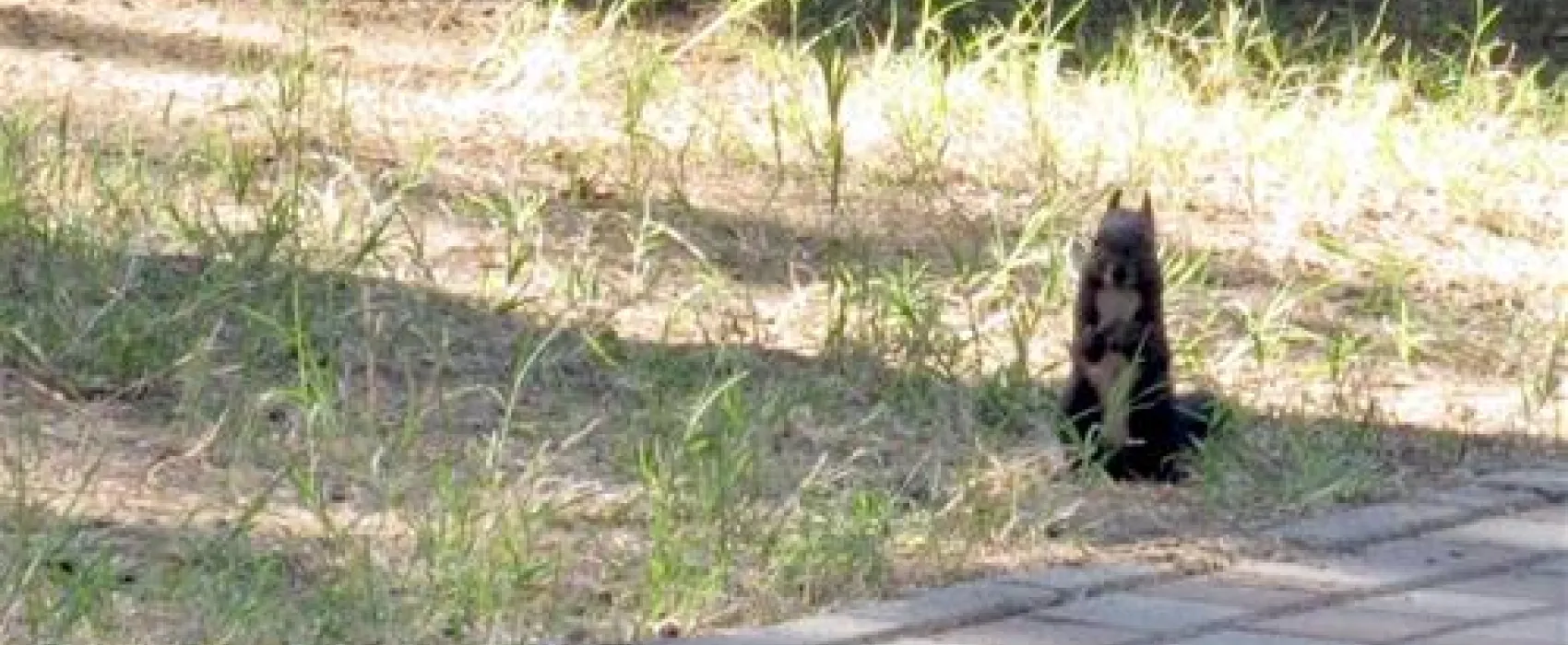 Campeggio Scarpiland