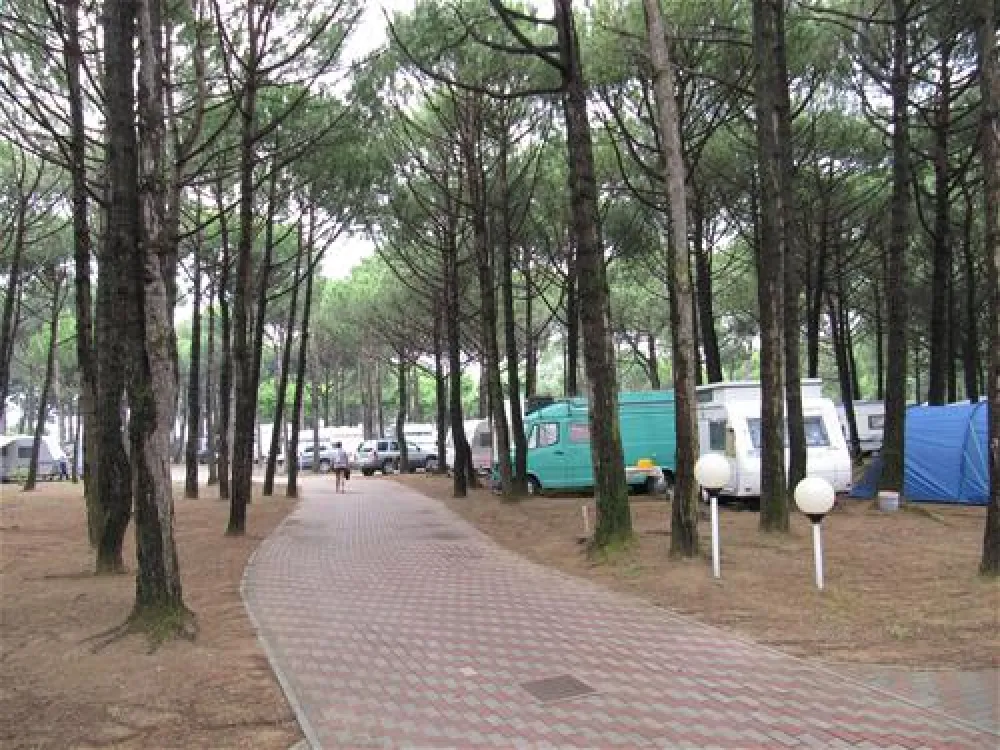 Campeggio Scarpiland