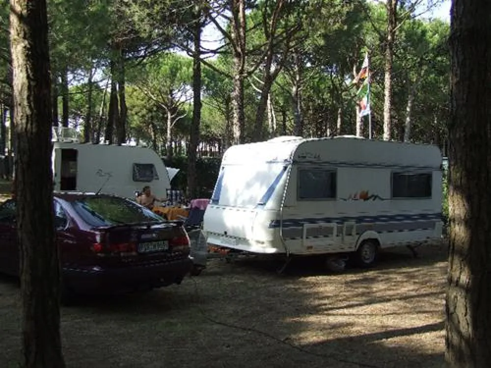 Campeggio Scarpiland