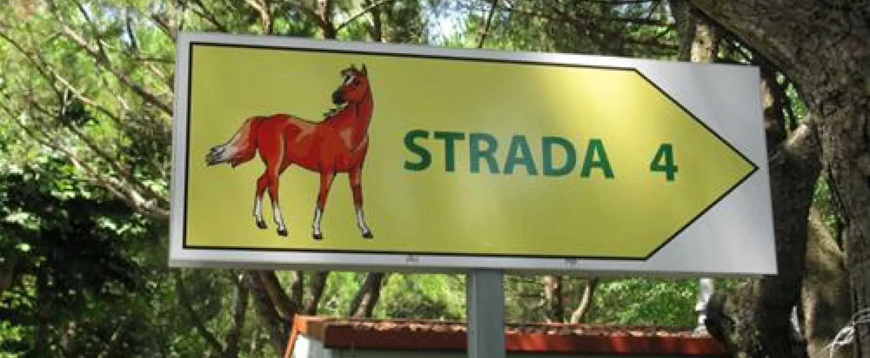 Campeggio Scarpiland