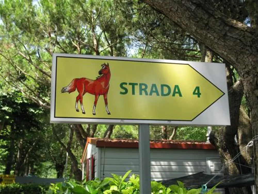 Campeggio Scarpiland