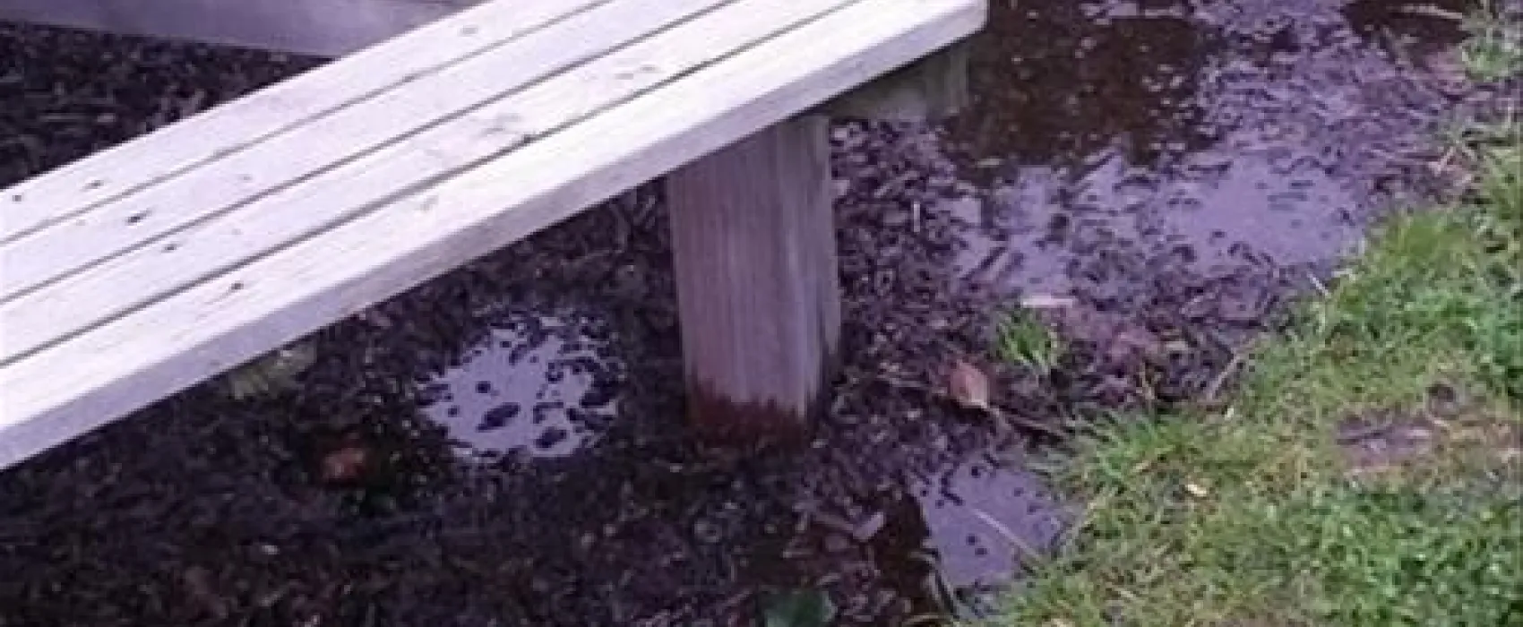 NordseeCamping zum Seehund