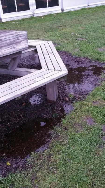 NordseeCamping zum Seehund