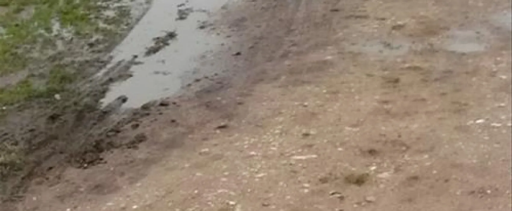 NordseeCamping zum Seehund