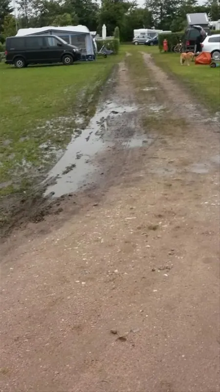 NordseeCamping zum Seehund