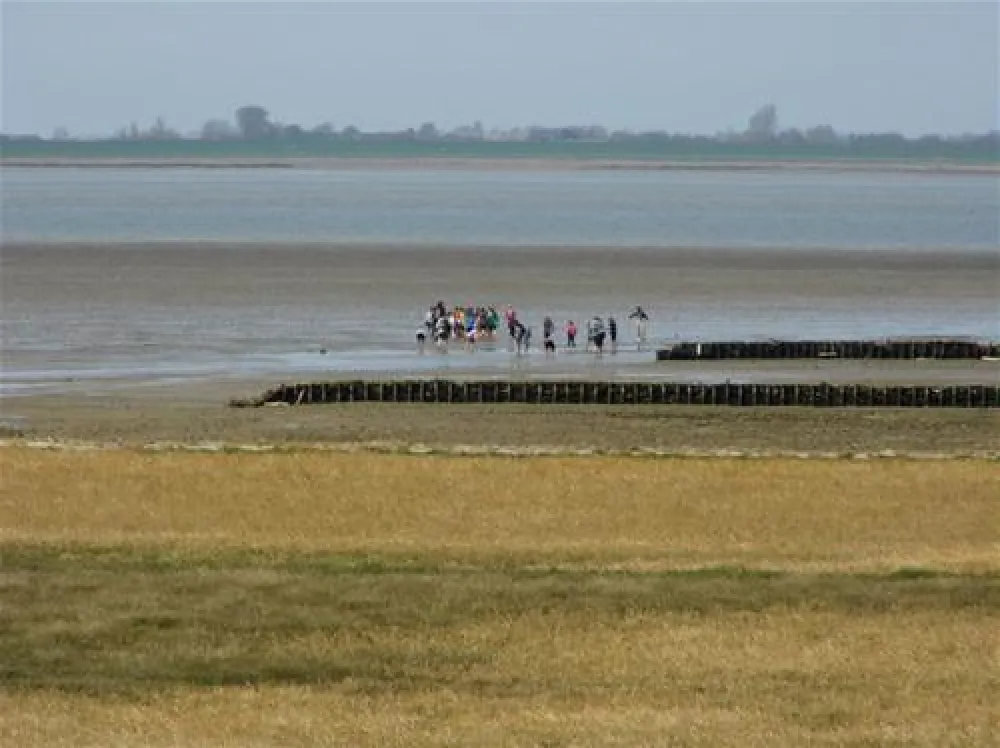 NordseeCamping zum Seehund