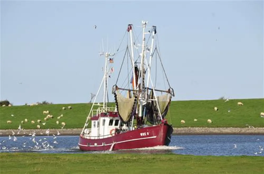 NordseeCamping zum Seehund