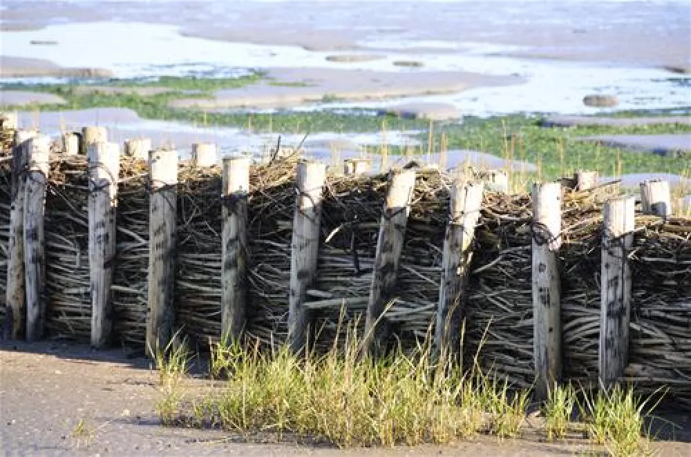 NordseeCamping zum Seehund