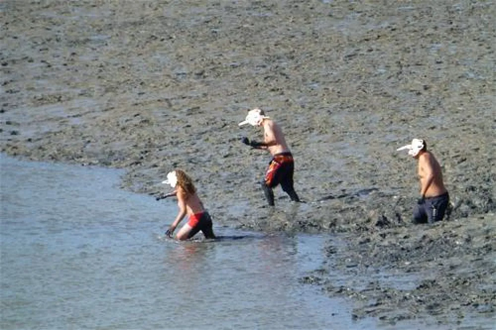 NordseeCamping zum Seehund